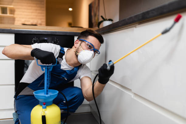 Best Mosquito Control Services  in Broken Bow, NE