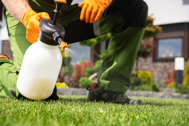 Best Bed Bug Extermination  in Broken Bow, NE
