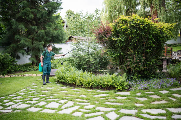 Best Best Pest Control Companies  in Broken Bow, NE