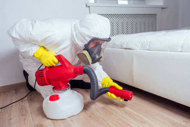 Best Wasp Removal Services  in Broken Bow, NE