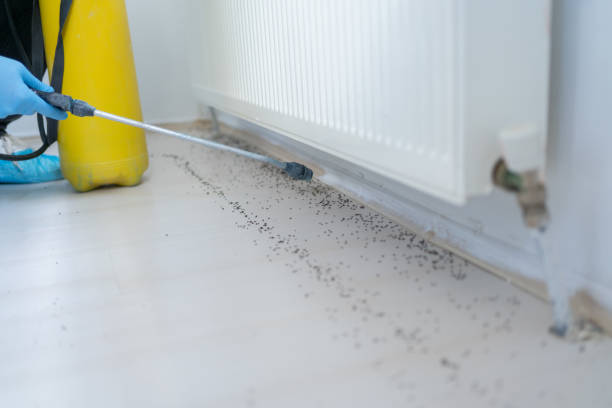 Best Residential Pest Control  in Broken Bow, NE